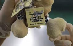 佛山海關截「心形鎖匙扣」 驚揭為袋鼠睾丸製品