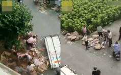 货车司机哭诉江苏盐城遇车祸 猪肉遭哄抢10吨只剩3吨