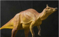 1亿年前鸭嘴龙 列加州官方恐龙