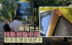 柴湾巴士撞断树爆车窗 男乘客遭玻璃鎅手
