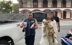 布吉酒店内养幼狮当竉物  内地女子涉非法饲养野生动物在泰国被捕