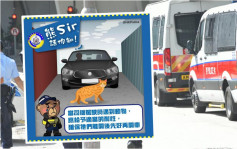 駕車撞倒貓狗勿不顧而去 警方提醒：停車及報警