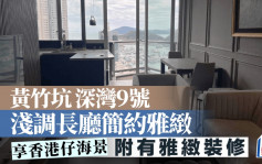 黃竹坑 深灣9號 淺調長廳簡約雅緻