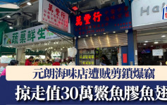 元朗海味店遭賊剪鎖爆竊 掠走值30萬鰵魚膠魚翅