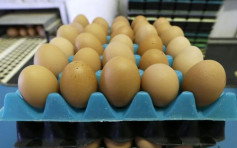 民眾居家避疫搶購糧食 美國雞蛋價格飆升四成