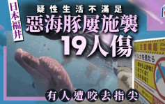 日本福井縣屢傳海豚襲擊事件  至今19人遭咬  原來與「性福」有關？
