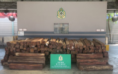 海關葵涌驗貨場檢2.6萬公斤瀕危黃檀木材