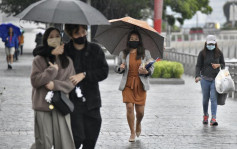 去年12月偏暖少雨 雷伊带来战后第二次12月风球