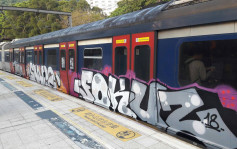 東鐵列車遭人塗鴉 港鐵：已報警處理