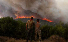 希腊多地山火肆虐　当局以纵火罪拘79人