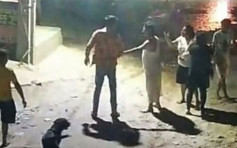 印男开车撞到狗拒向狗道歉 主人狂捅6刀亡