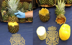 西班牙毒贩挖空菠萝运毒 警检148磅可卡因