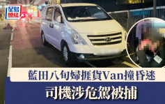 藍田八旬婦捱貨Van撞昏迷 司機涉危駕被捕