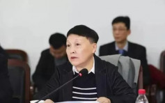 医护损失惨重 武汉市中心医院党委书记蔡莉被免职