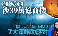 气候变化涉39万亿商机 惟银行业绿色转型遇挑战 7大策略助应对