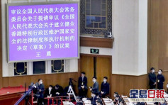 【國安法】區議員意見兩極 370民主派促撤回84人撐合理