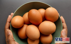 【健康talk】1岁前不宜食蛋白？营养师教正确食蛋指引