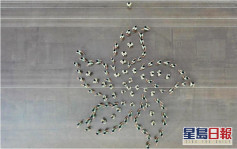 回歸25｜海關儀仗隊參與慶典 結業會操砌紫荊花圖案