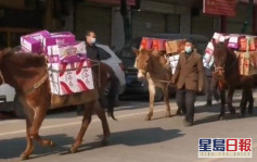 陝西有馬匹運送抗疫物資引質疑 官方：馬幫自發籌集捐贈