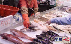西區副食品批發市場一檔戶 驗出鰂魚含有孔雀石綠