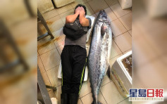 【维港会】大埔街市现超级大鲛鱼 重逾90斤与成年男性一样高