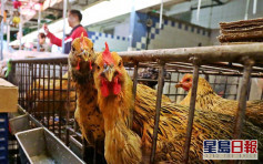 本港暂停德国萨克森州Leipzig区禽肉及禽类产品进口