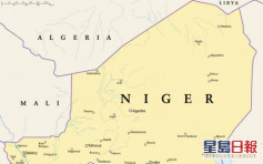 非洲尼日爾兩村莊遭武裝分子突襲 最少79平民死