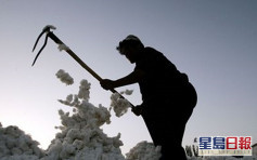 內媒指金主為美國 良好棉花發展協會稱涉疆聲明正處理