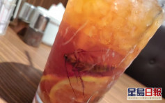 【維港會】港男觀塘連鎖西餐廳食午餐 驚送大曱甴凍檸茶