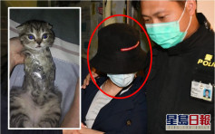 胶纸捆绑幼猫 旺角中年妇涉虐畜被捕时自言自语