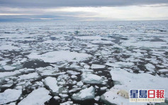 北極地區遭「微塑膠」污染 研究：或與清洗合成纖維衣物有關