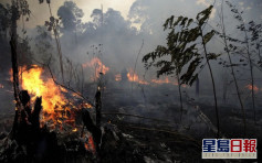 報告指亞馬遜雨林去年火災次數飆升3成