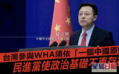 台灣欲參與WHA  趙立堅：必須按照「一個中國」原則來處理