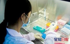 武汉市展开全员核酸筛查工作 目标十天内完成
