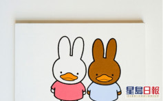 廣州教授展出卡通鴨兔作品 被指抄襲米菲兔及B.Duck