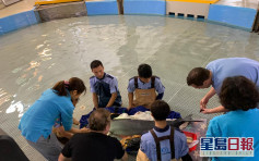 年幼江豚被渔网缠绕搁浅西贡 被送往海洋公园医治