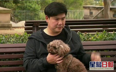 澳洲亞裔男街頭遛狗突遭毆打 疑兇:滾回你的國家