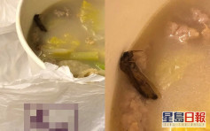 【Kelly Online】港妈沙田连锁餐厅叫外卖 惊送超大昆虫