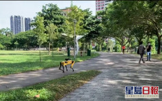新加坡派「无头机械狗」巡逻公园 估算人潮及提醒社交距离