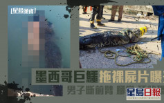 墨西哥巨鱷拖裸屍片曝光！25歲男疑遭咬斷前臂腳掌死狀恐怖