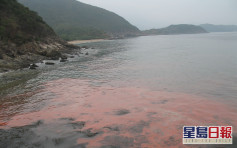 珠江口水域矽藻20年倍增 科大指與人類活動有關