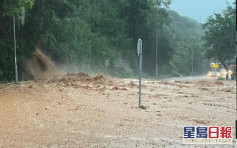大嶼山嶼南道山泥傾瀉一度全封 嶼巴多條路線陸續恢復正常