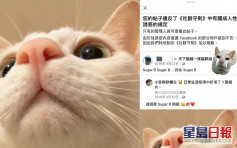 【维港会】Facebook封锁违规帖文 猫相片被指「成人性诱惑」遭删除