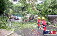 暹芭襲港｜政府收45宗塌樹報告 3市民風暴期間受傷送院