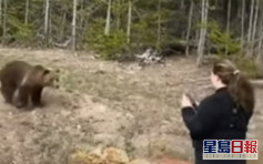 黃石國家公園女遊客走近野生灰熊拍照遭控 判囚4天