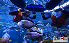 信和聯同海洋公園推重建人工珊瑚礁計畫 召募活化珊瑚大使推廣學校保育