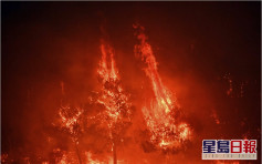 加州納帕酒鄉山火 5000人被迫撤離