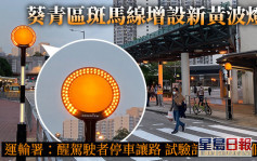 葵青區斑馬線增設新黃波燈 運輸署：醒駕駛者停車讓路 試驗期6個月 