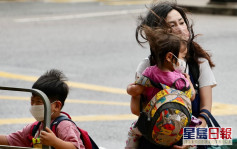 风球木兰｜教育局宣布幼稚园及特殊学校今日停课
