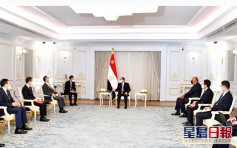 埃及總統塞西晤王毅 指堅定奉行一個中國政策